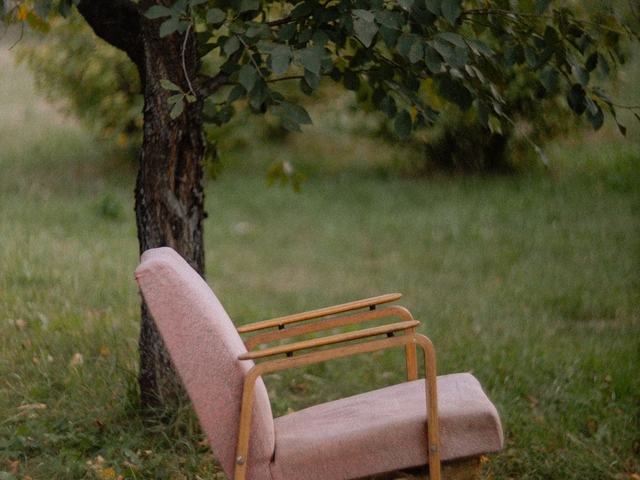 Uma poltrona vazia sob uma árvore, em um gramado tranquilo — um lugar para ser escutado.