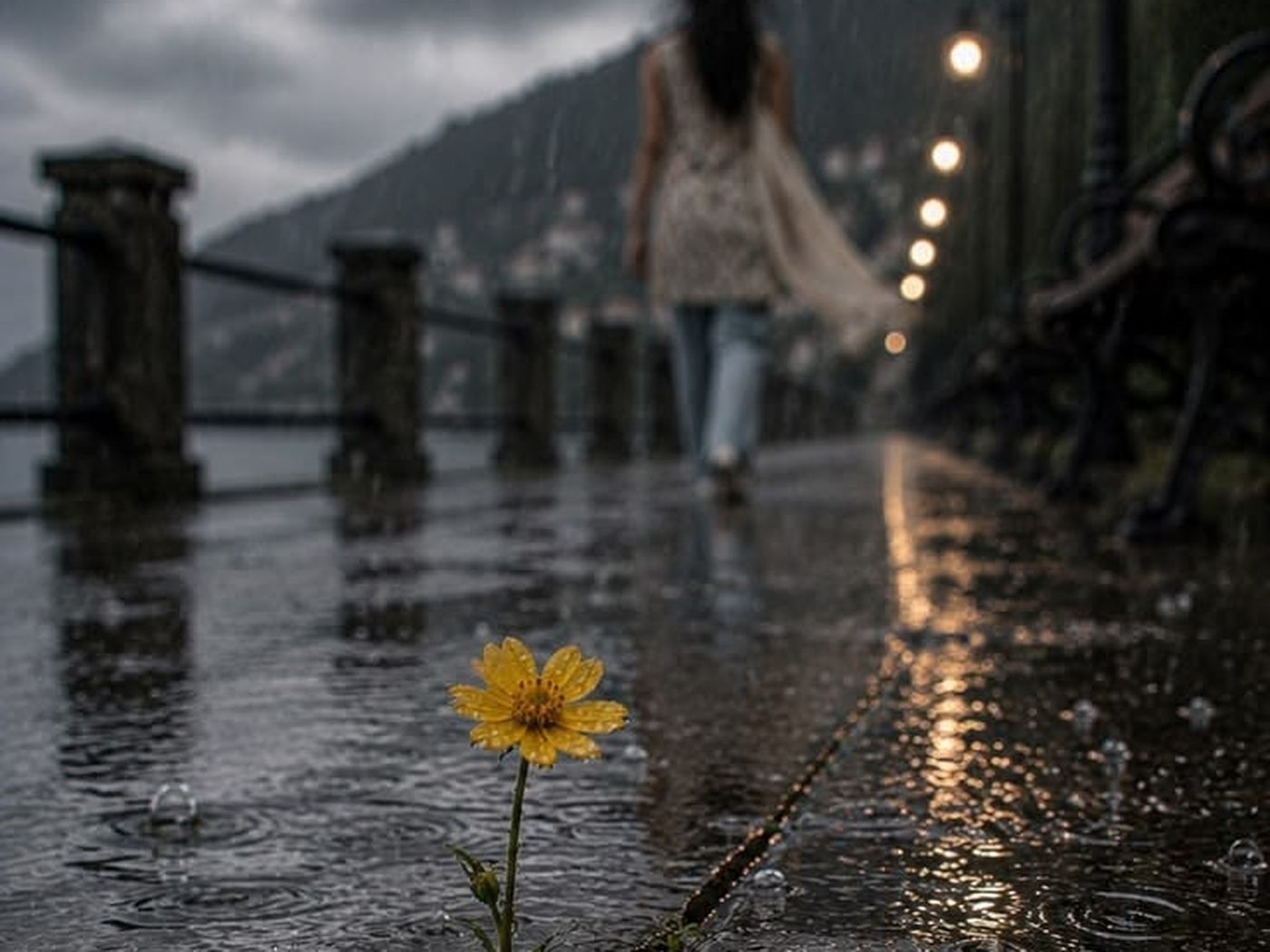 Pequena flor amarela brotando de uma fenda no asfalto molhado pela chuva.
